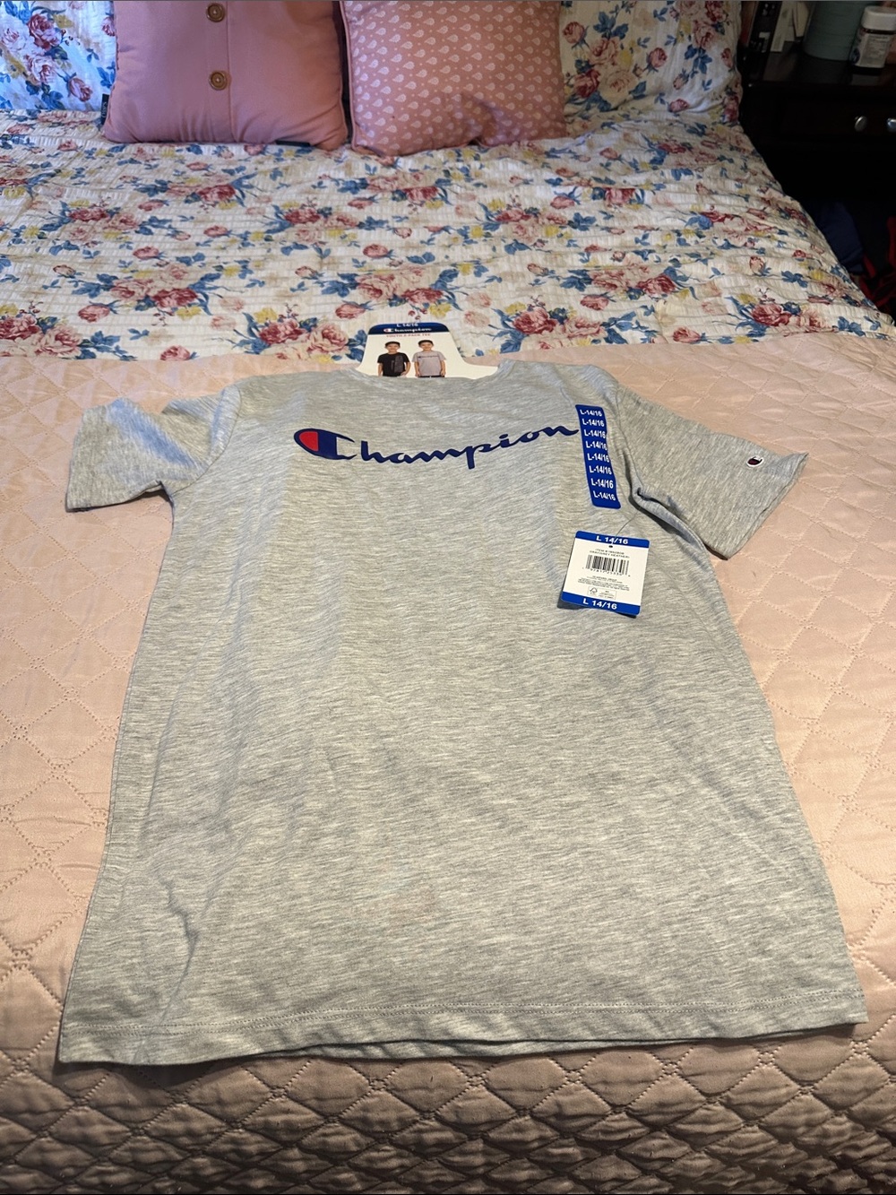 Champion Heather Gray Short Sleeve Tee with Navy & Red Logo. Black tee.